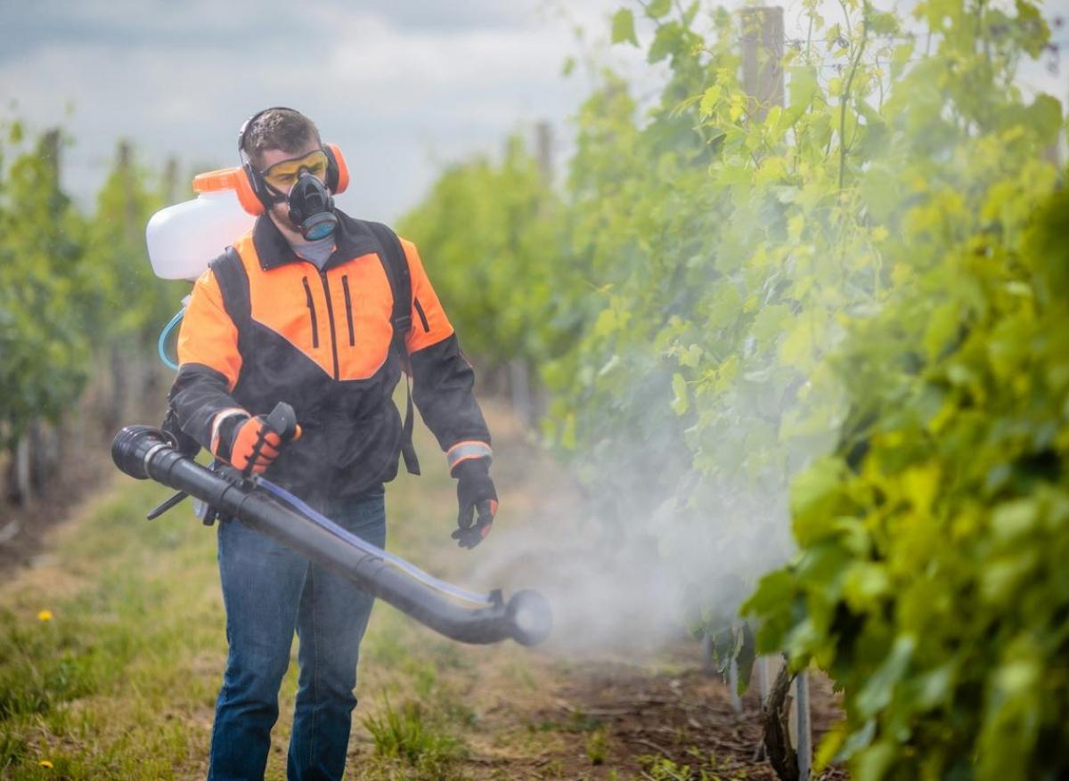 Le cancer de la prostate va être reconnu comme maladie professionnelle pour les agriculteurs