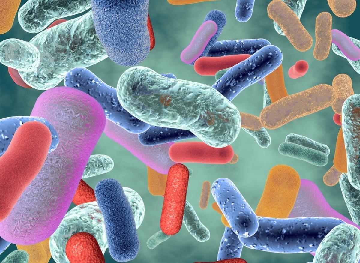Cibler le microbiote pour traiter les allergies alimentaires ? 