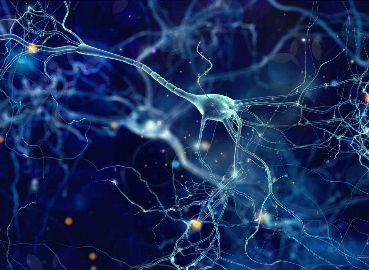 Maladie de Parkinson : la mort des neurones producteurs de dopamine en cause ?