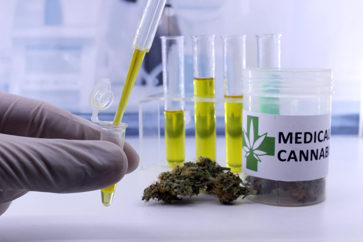 Cannabis médical en France : fin de l’expérimentation et préparation de la mise à disposition pour 2025