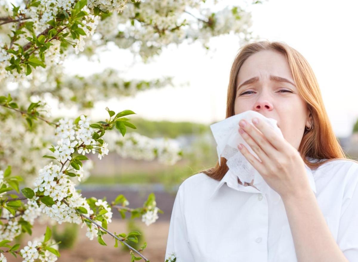 Allergies saisonnières : le changement climatique augmenterait la durée des symptômes