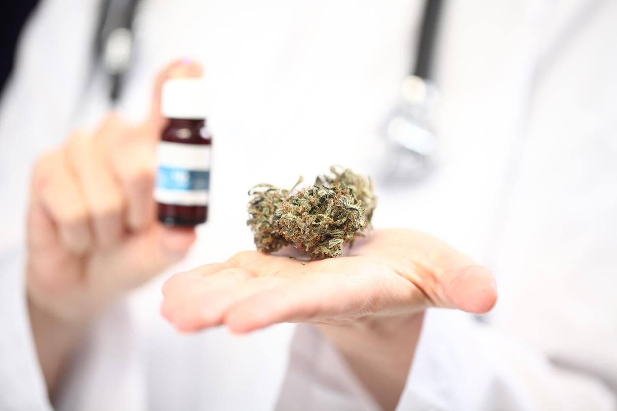 Cannabis médical : l’expérimentation prolongée d’un an