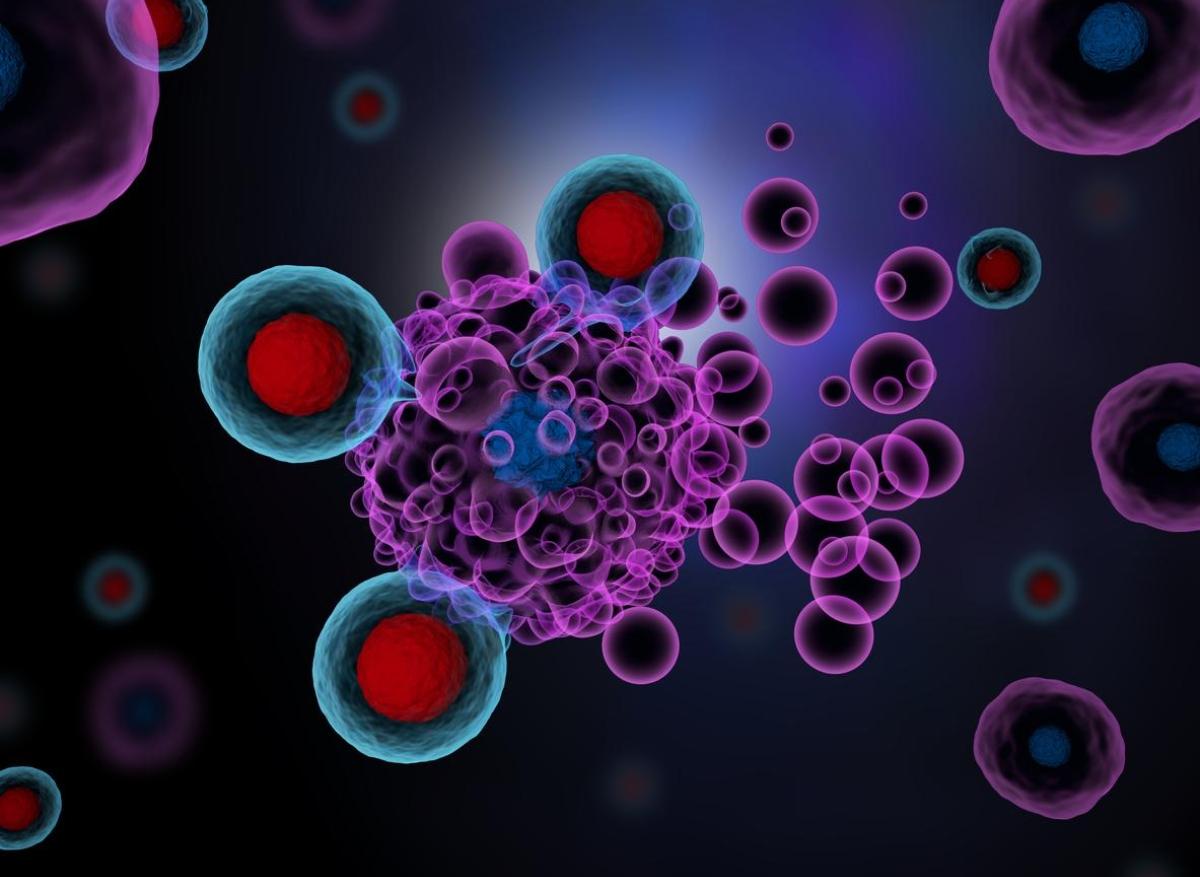 Comment rendre l’immunothérapie efficace dans le cancer du foie ?