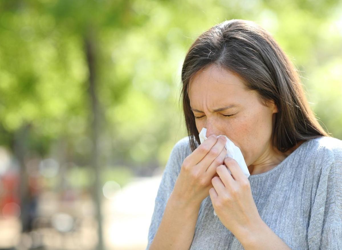 Allergies : les pollens 