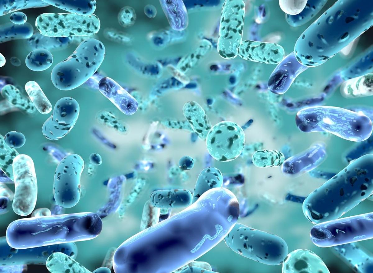 Infections bactériennes : les 5 bactéries qui tuent le plus dans le monde