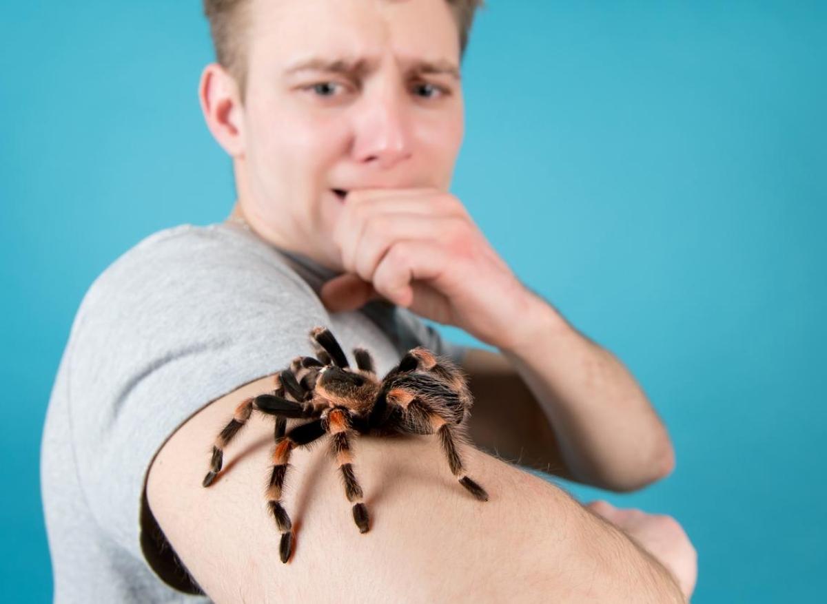 Araignées, avions, espaces clos... Quel est le meilleur moyen de soigner une phobie ?