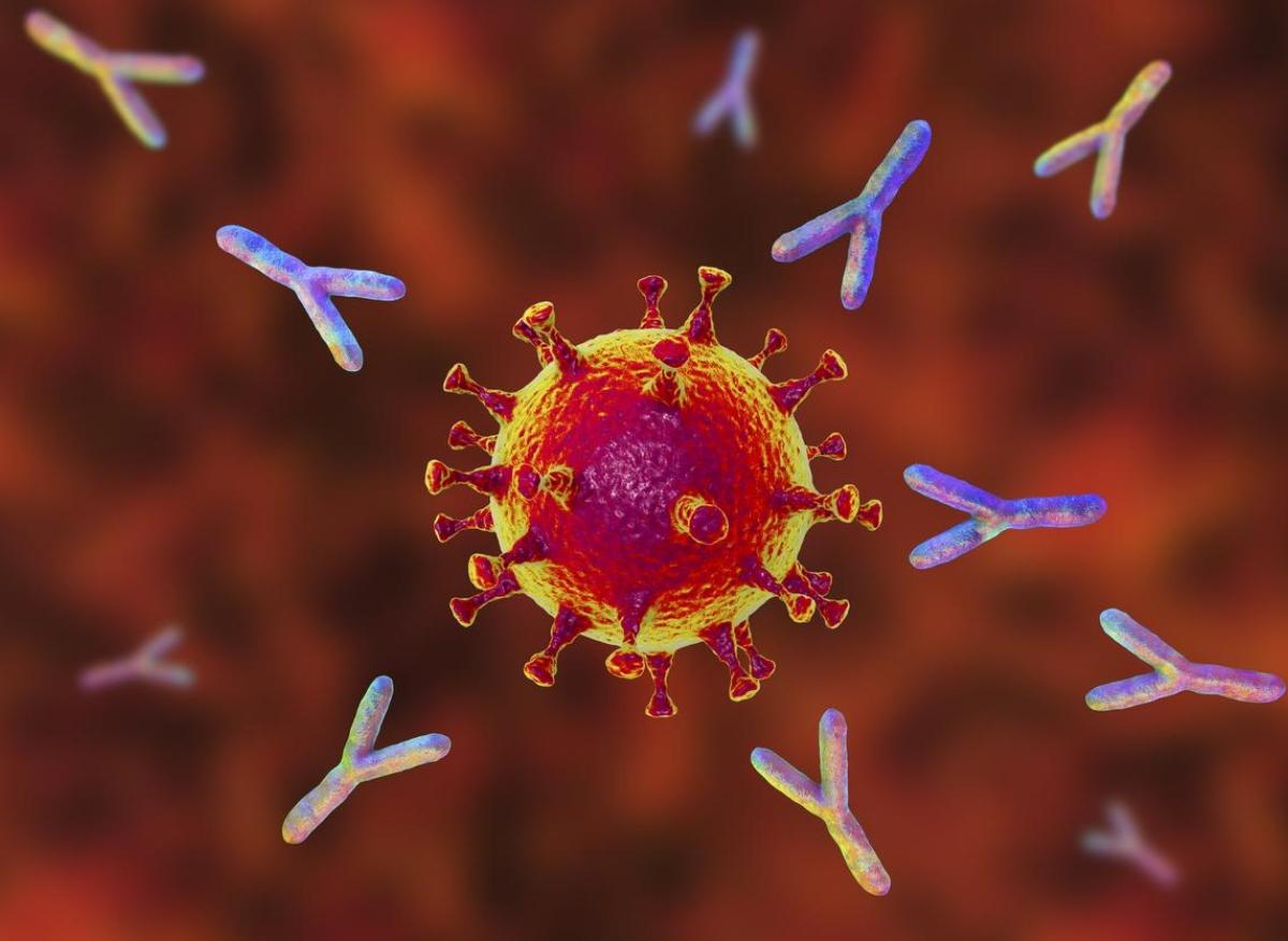 Covid-19 : la quantité d’antigène viral est liée à la gravité de la maladie
