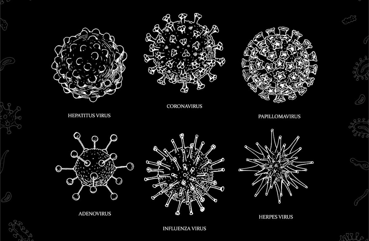 Infections hivernales : un vaccin à ARNm grippe-Covid-19 peut changer la donne