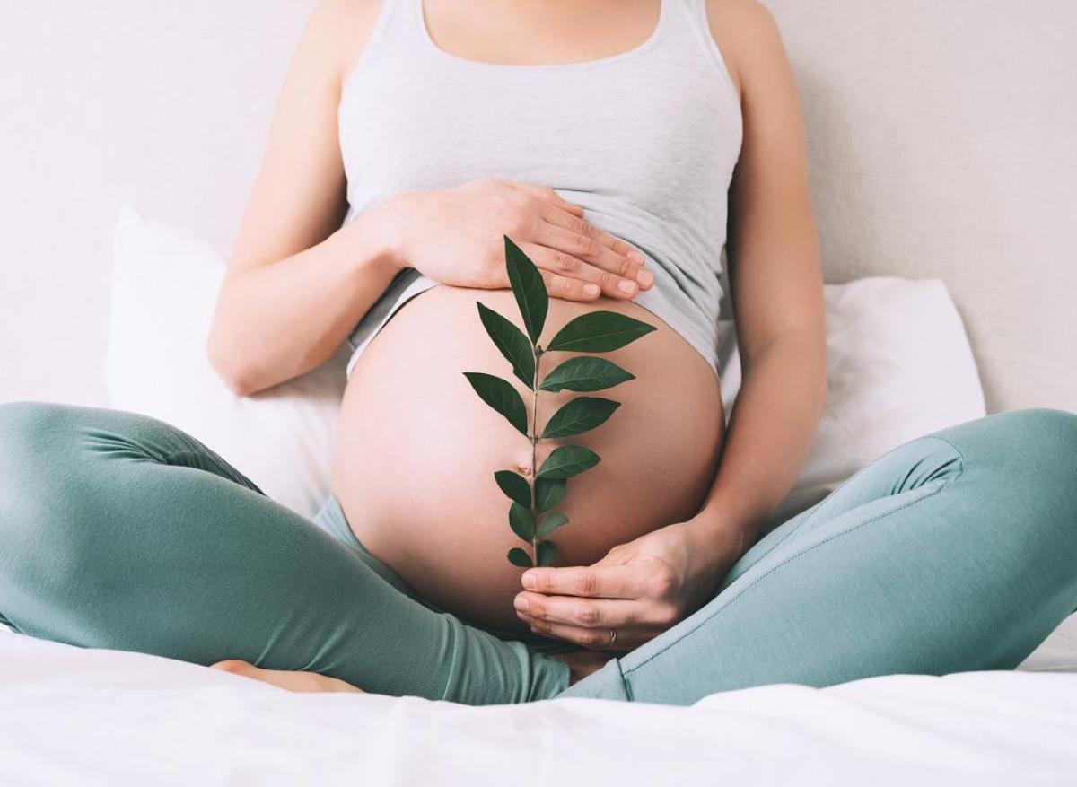 Grossesse : même à petites doses, le cannabis nuit au développement du fœtus 