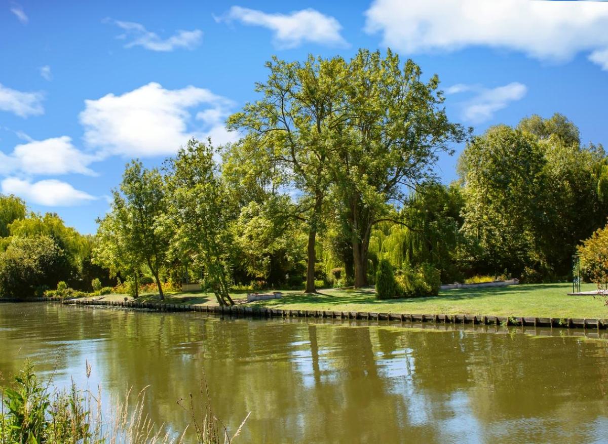 Comment nos médicaments polluent les rivières