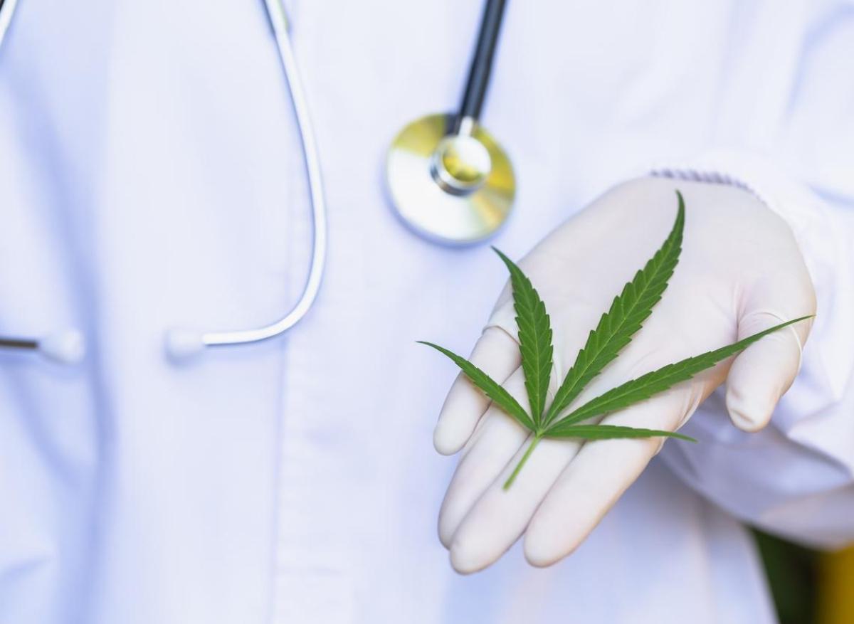 Le cannabis thérapeutique soulage les patients atteints de cancer