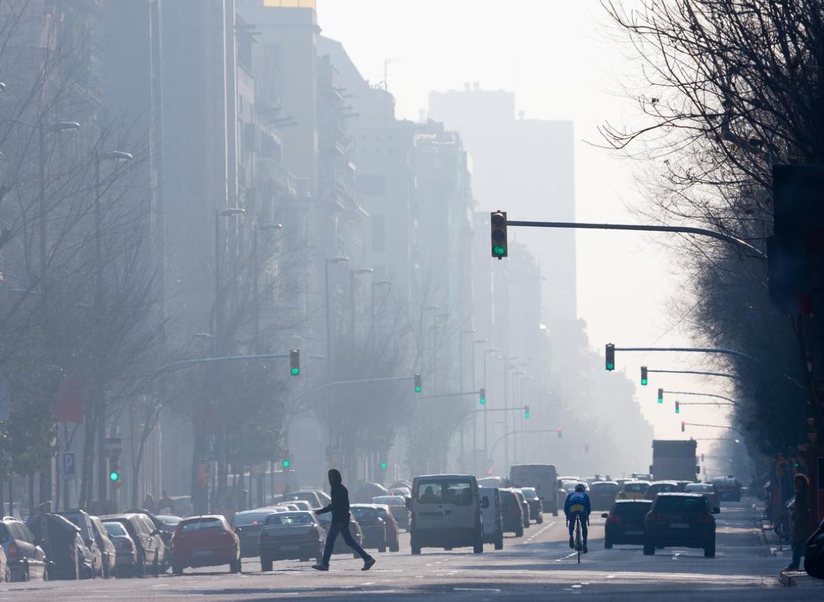 Pollution de l'air : l'exposition prénatale associée à l'autisme chez les jeunes enfants