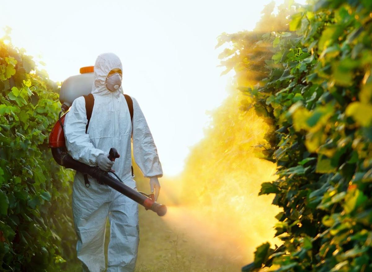 Démence : les toxines environnementales suspectées d'augmenter les cas