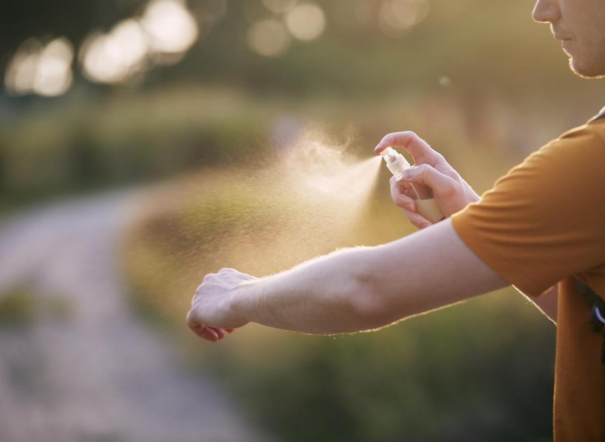 Lutte contre les moustiques : un spray sans insecticides qui les empêche de voler