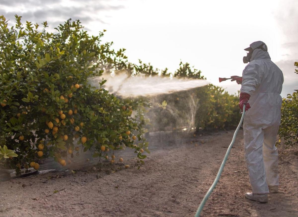 L’exposition aux pesticides peut nuire à la qualité du sperme 