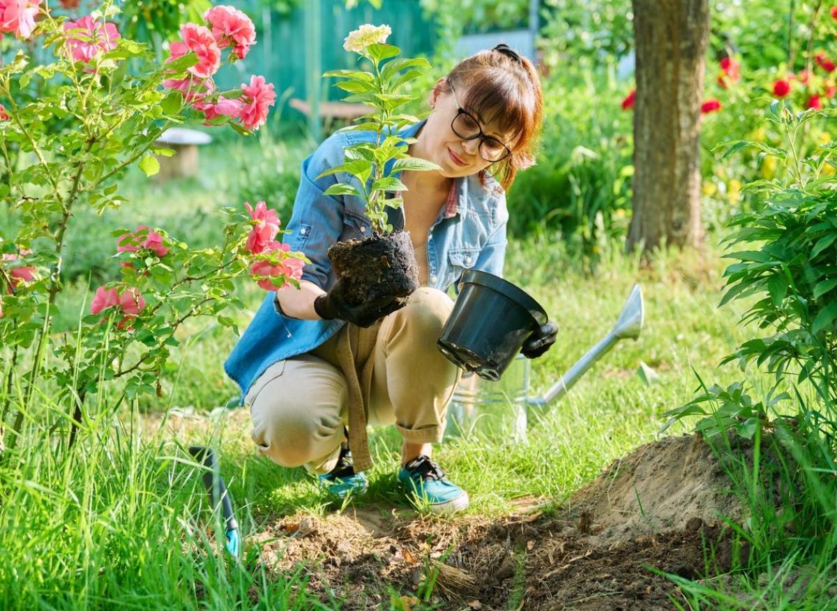 Jardinage, marche : les activités de faible intensité réduisent la dépression