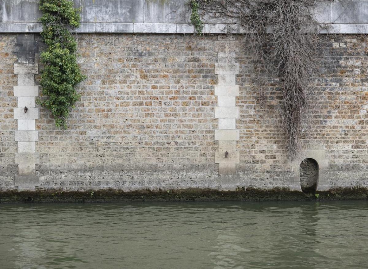 JO de Paris : la Seine serait encore dangereuse pour les athlètes !