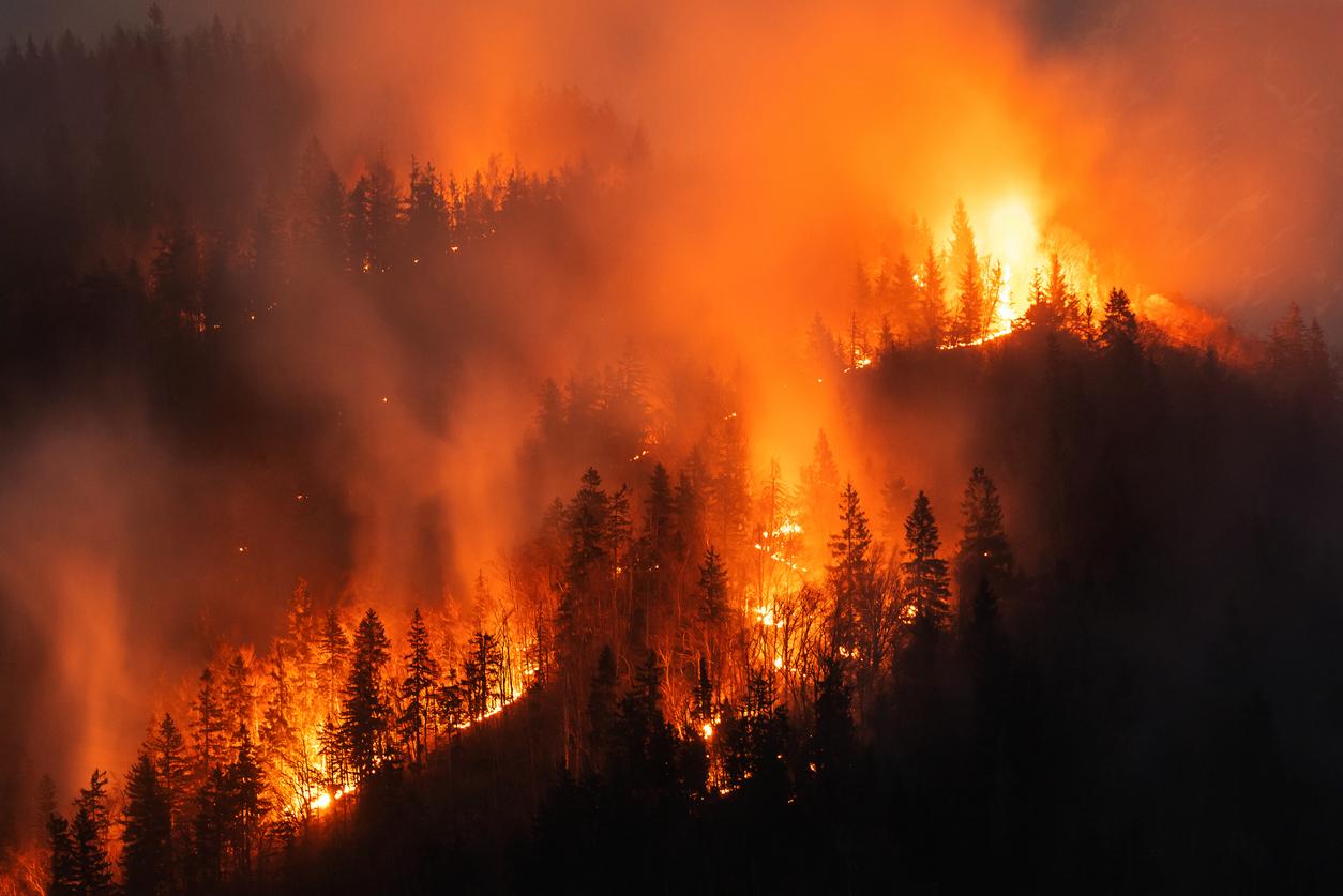 Incendies : les officines mobilisées pour maintenir l’accès aux soins