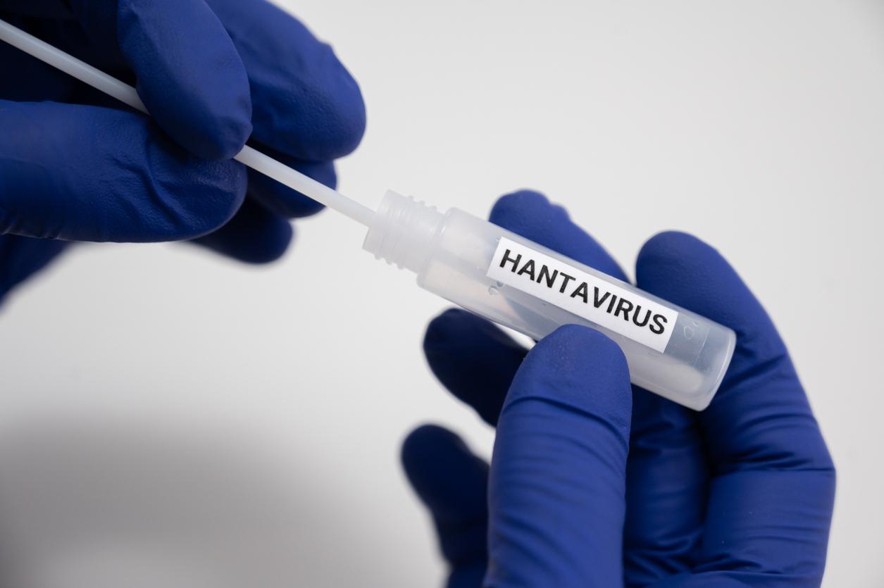 Hantavirus : les autorités se veulent rassurantes sur le risque épidémique