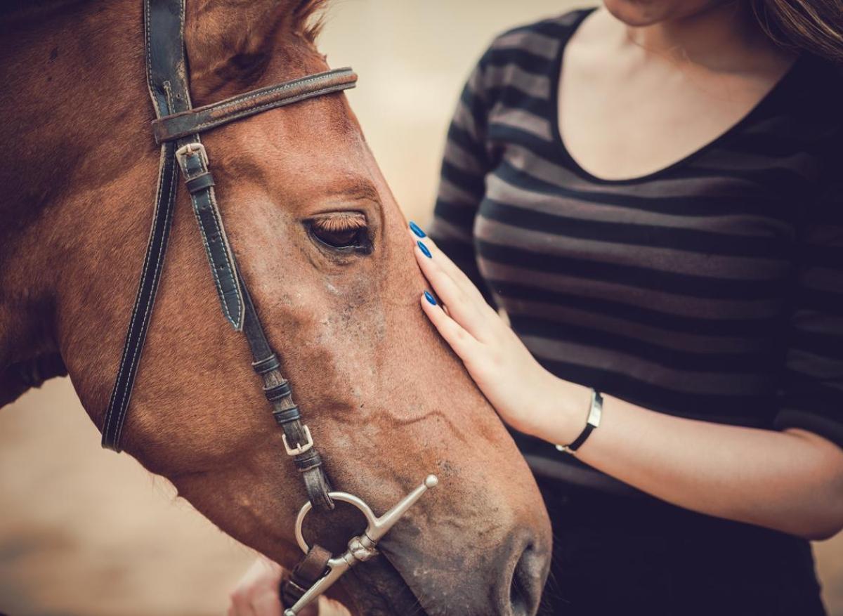 Equicoaching : “La relation avec le cheval devient le miroir de notre comportement”