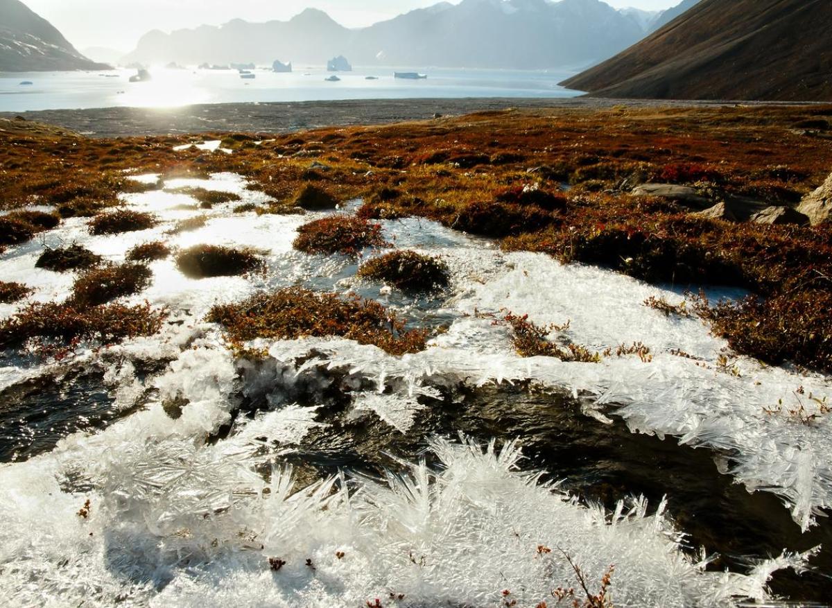 Des virus zombie ancestraux ont été sortis du permafrost pour être ressuscités