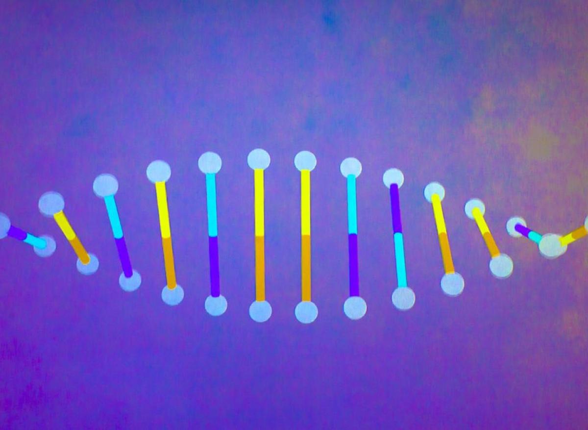Première séquence complète d’un génome humain : à quoi cela peut servir ?