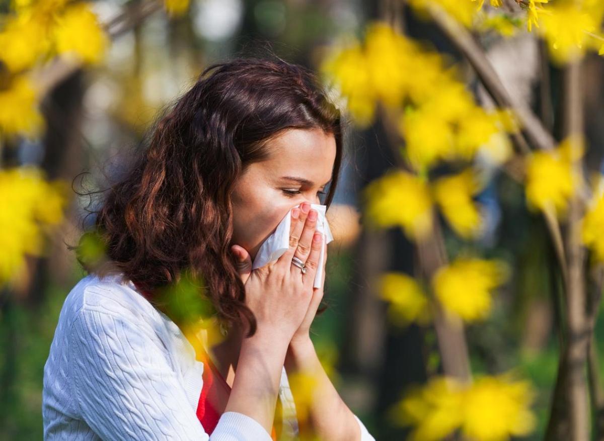 Les allergies sont de retour dans toute la France