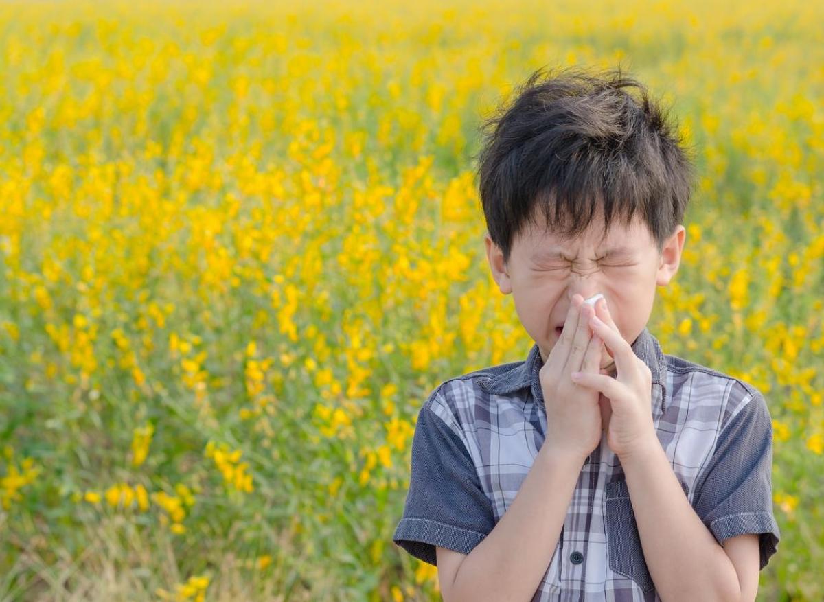 Allergie au pollen ou Covid-19 : comment les différencier ? 