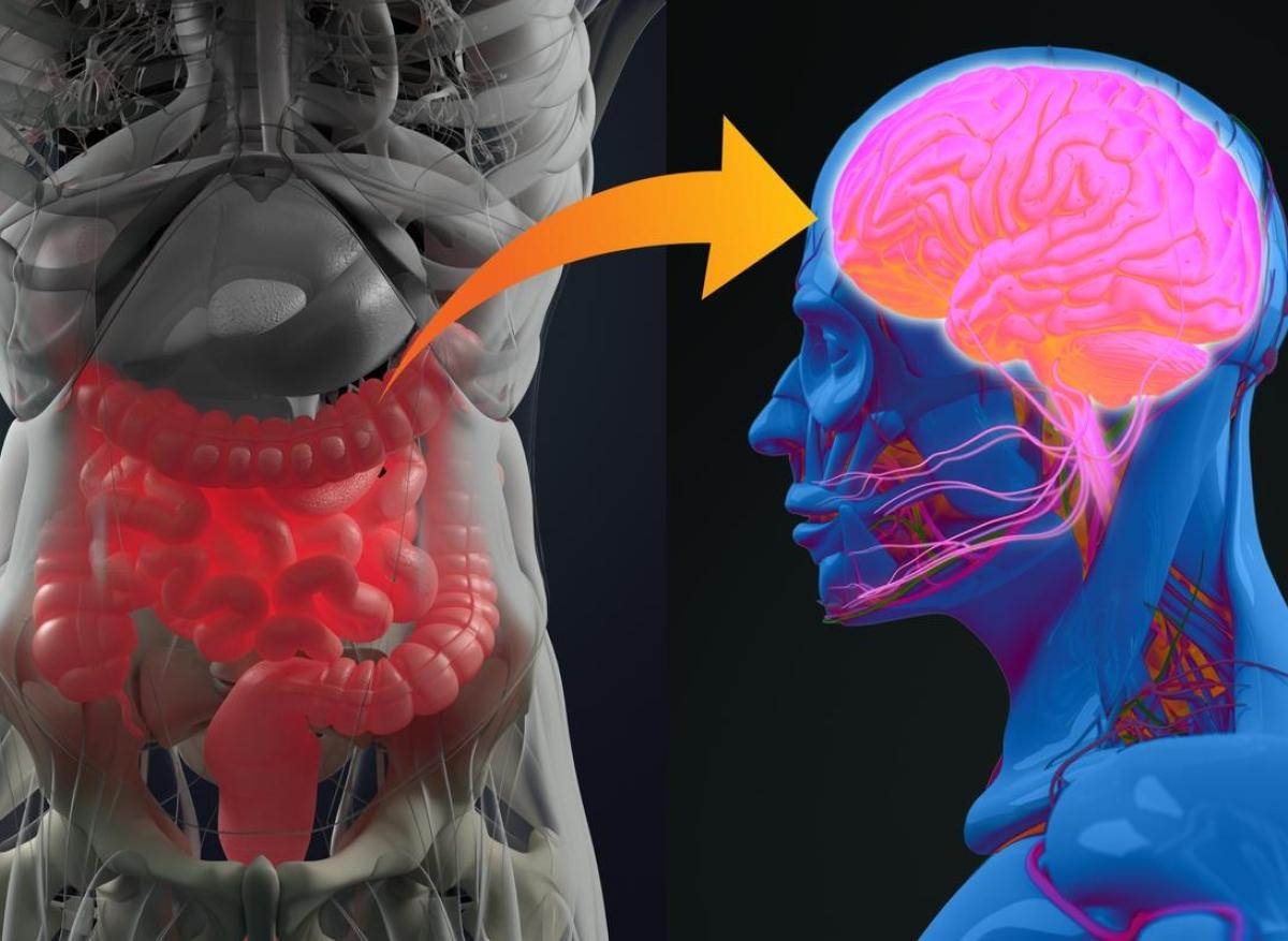 Dépression : et si c’était à cause du nerf vague et du microbiote intestinal ?